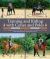 Training and Riding with Cones and Poles : Over 35 Engaging Exercises to Improve Your Horse's Focus and Response to the Aids, While Sharpening Your Timing and Accuracy Training and Riding with Cones and Poles : Over 35 Engaging Exercises to Improve Your Horse's Focus and Response to the Aids, While Sharpening Your Timing and Accuracy