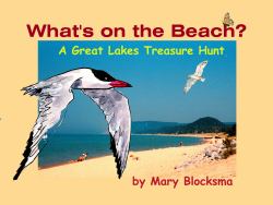 What's on the Beach? : A Great Lakes Treasure Hunt