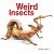 Weird Insects