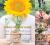 From Seed to Centrepiece : A Floral Journey Through the Seasons