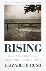 Rising : Dispatches from the New American Shore
