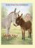 Donkey Gene's Farm Adventures : Meets Star Donkey Gene's Farm Adventures : Meets Star