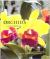 Orchids