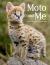 Moto and Me : My Year As a Wildcat's Foster Mom