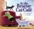 At the Rescue Cat Café