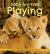 Baby Animals Playing