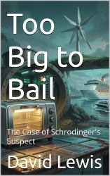Too Big to Bail : The Case of Schrodinger's Suspect
