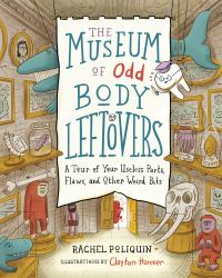 The Museum of Odd Body Leftovers : A Tour of Your Useless Parts, Flaws, and Other Weird Bits