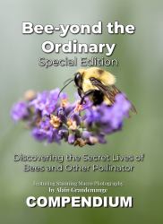 Bee-Yond the Ordinary : The 4 Volume Compendium