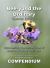 Bee-Yond the Ordinary : The 4 Volume Compendium