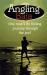 Angling Baja : One Man's Fly Fishing Journey Through the Surf