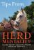 Herd Mentality : Leadership Lessons from Rescue Horses
