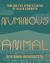 Numinous Animal : Tracing the Afrofuturism of Black Cowboys