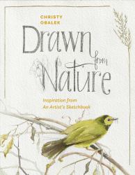 Drawing from Nature : Inspiration from an Artist's Sketchbook
