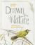 Drawing from Nature : Inspiration from an Artist's Sketchbook
