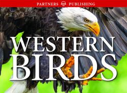 Western Birds : Pocket Guide