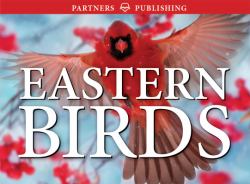 Eastern Birds : Pocket Guide