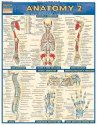 Anatomy 2 - Reference Guide (8. 5 X 11) : A QuickStudy Laminated Reference Guide