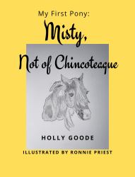 My First Pony: Misty, Not of Chincoteague