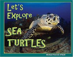 Let's Explore Sea Turtles