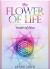 The Flower of Life Oracle Deck : Wisdom of Astar