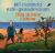 Mii Maanda Ezhi-Gkendmaanh / This Is How I Know : Niibing, Dgwaagig, Bboong, Mnookmig Dbaadjigaade Maanpii Mzin'igning / a Book about the Seasons
