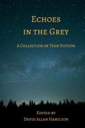 Echoes in the Grey : A Collection of Teen Fiction