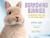 Borrowing Bunnies : A Surprising True Tale of Fostering Rabbits