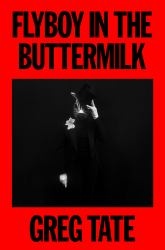 Flyboy in the Buttermilk : Essays on Contemporary America