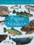 Junior Field Guide: Fishes of Nunavut : English Edition