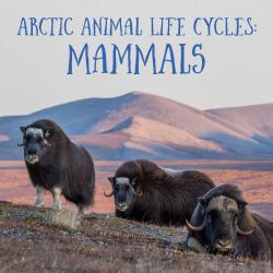 Arctic Animal Life Cycles: Mammals : English Edition