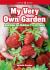 My Very Own Garden : Activities for Children 7 to 10 Years My Very Own Garden : Activities for Children 7 to 10 Years