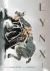 LYNX, Vol. 1 LYNX, Vol. 1