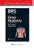 Gross Anatomy