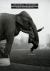 Natural History : Poems
