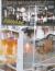 Robert Rauschenberg : Haywire
