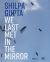Shilpa Gupta. We Last Met in the Mirror