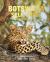 Botswana Self-Drive : Routes, Roads and Ratings