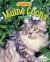 Maine Coons : Super Big