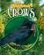 Crows