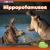 Hippopotamuses : A 4D Book Hippopotamuses : A 4D Book