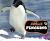 Adélie Penguins Adélie Penguins