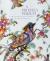 A Princely Pursuit : The Malcolm D. Gutter Collection of Early Meissen Porcelain
