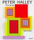Peter Halley : A Monograph