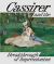 Cassirer and the Breakthrough of Impressionism