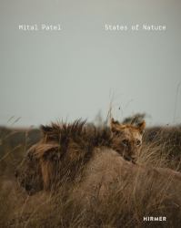 Mital Patel : States of Nature