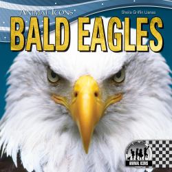 Bald Eagles