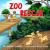 Zoo Rescue : A Lyric and Londyn Adventure