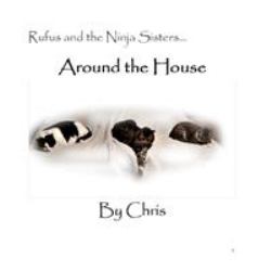 Rufus and the Ninja Sisters... Around the House
