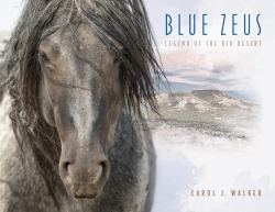 Blue Zeus : Legend of the Red Desert